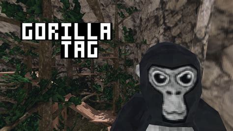 Five million players relive early childhood joys in Gorilla Tag VR