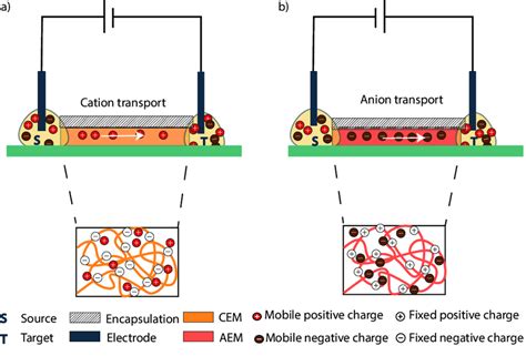 1. An organic electronic ion pump, the white arrow indicates the ...