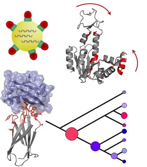 Protein Engineering: Experimental and Computational Approaches for ...