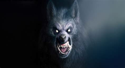 Download Snarl Scary Face Dark Werewolf HD Wallpaper