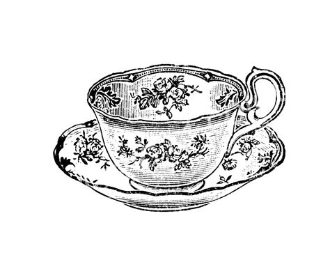 Vintage Tea Cup Drawing at PaintingValley.com | Explore collection of ...