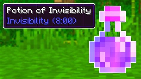 Minecraft Potions Invisibility