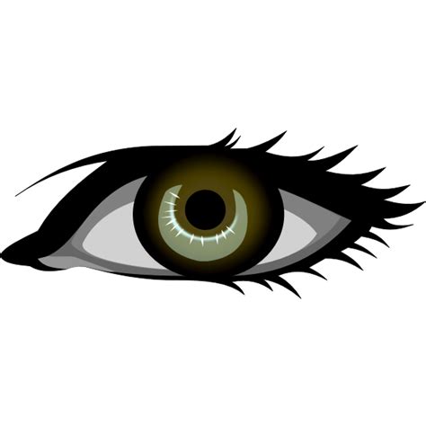 Brown eye vector image | Free SVG