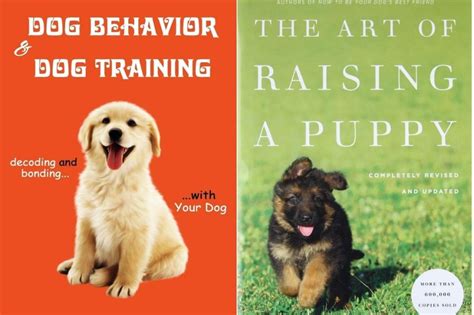 Dog Training Books: The 10 Best To Buy in 2022 on Amazon