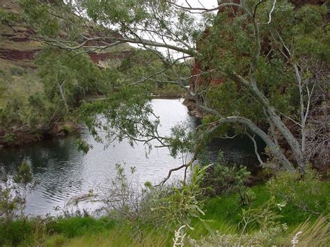 Free picture: swamp, water, landscape