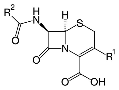 Cephalosporin - Wikiwand