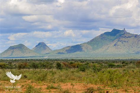 From Cattle to Classrooms in Karamoja • Nomadic by Nature