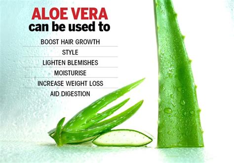 Aloe Vera Gel Lighten Hair | Americanwarmoms.org