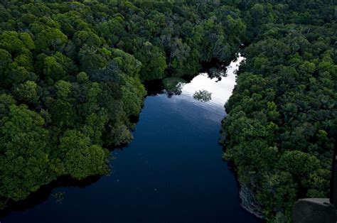 Rio De Janeiro And Amazon Rainforest Sustainable Experience By Nattrip ...