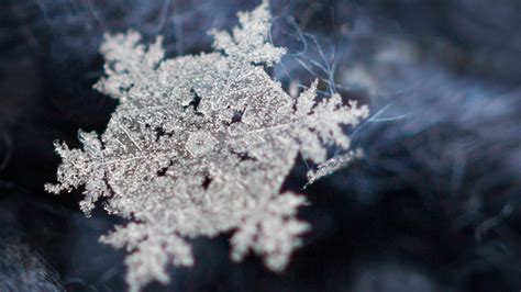 How to photograph snowflakes with a macro lens – Mostly Lisa ...