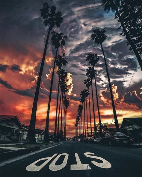 Sunset in Los Angeles | Photo by @john.logic | Fotografia naturaleza ...