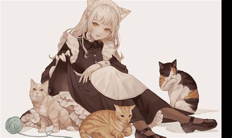 Download Anime Cats With Maid Wallpaper | Wallpapers.com