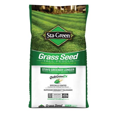 Shop Sta-Green 20-lb Tall Fescue Grass Seed at Lowes.com