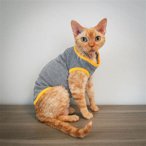 Cat Clothes | Cat Clothing | Clothes for Cats | Cat-toure | Devon Rex ...