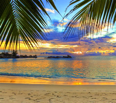 Tropical Sunset, beach, nature, palms, water, HD wallpaper | Peakpx