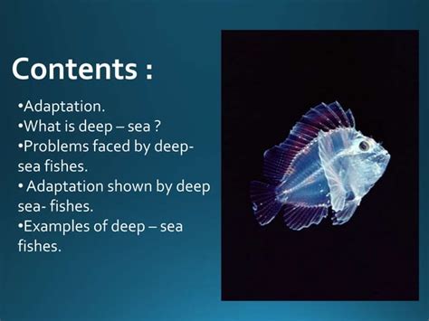 Adaptations in deep sea fishes | PPT