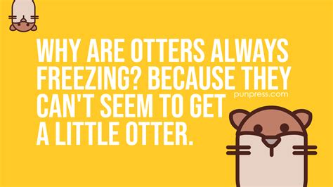 50 Otter Puns That You Will Find Otterly Funny - PunPress