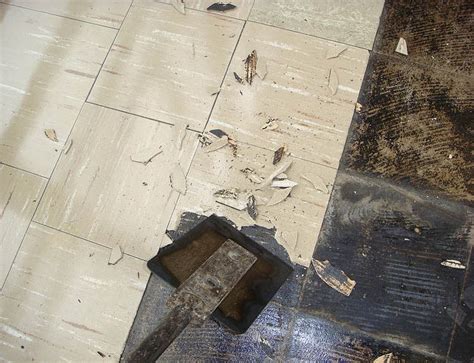 Testing Vinyl Flooring For Asbestos – Flooring Ideas