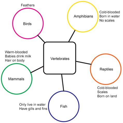 Semantic Mapping ~ ELAMP