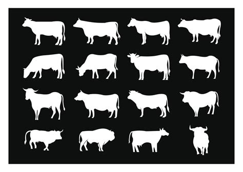 Cow grazing on meadow, cow silhouette in field eating grass. Vector cow ...