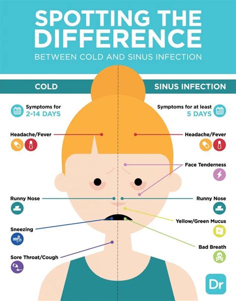 Is it a Cold or a Sinus Infection? | Sinusitis, Sinus infection, Sinus ...