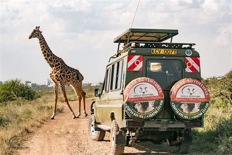 Nairobi National Park Entrance Fee and Attractions - Divulge Adventures