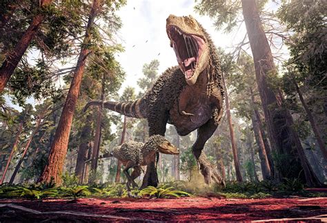 Were there three distinct species of Tyrannosaurus Rex? - Earth.com