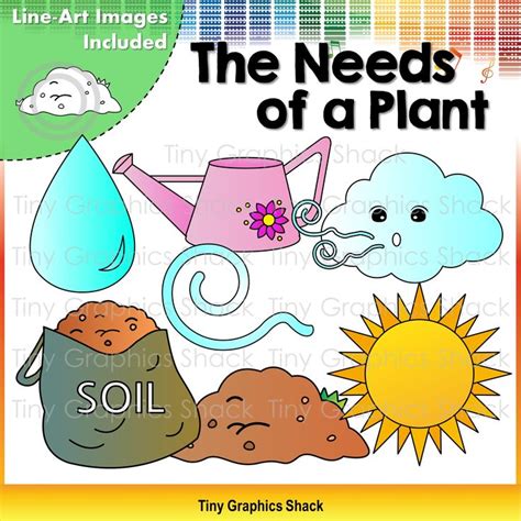 The Needs of a Plant Clip Art | Mini books, Plant unit kindergarten ...