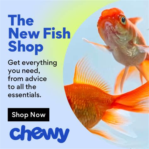 The 200 Best Fish Names | BeChewy