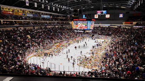 Hershey Bears Teddy Bear Toss sets new record