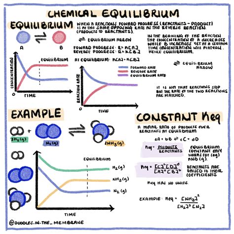 Chemical Equilibrium & Reactions Quotients Infographics – Doodles in ...