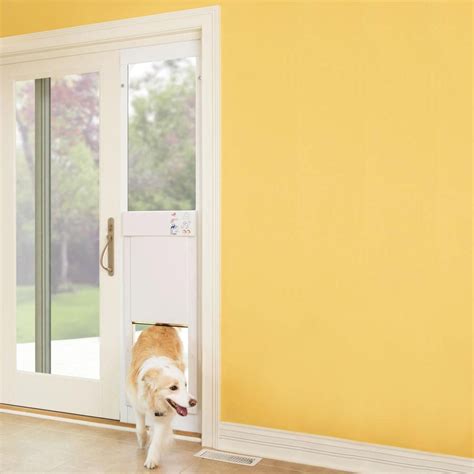 6 Best Smart Dog Doors | Family Handyman