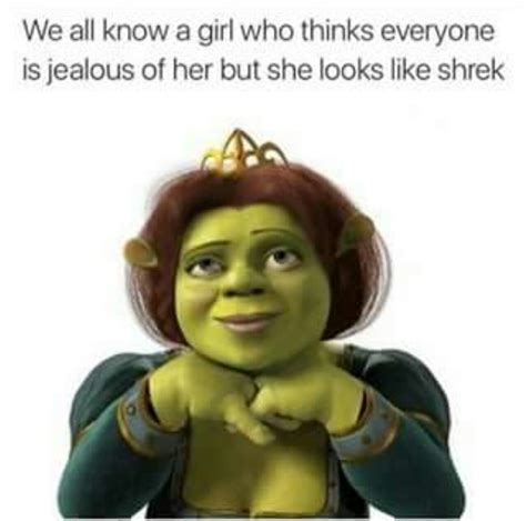 Fiona Memes