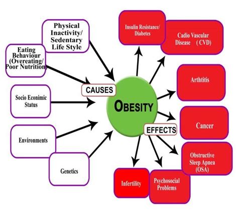 What Causes Obesity? - The Main Factors - Obesity - BMI Formula