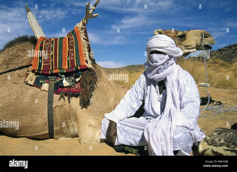 Tuareg Libya Africa local man camels nomadic people nomad nomads Sahara ...