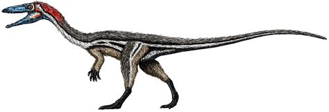 Coelophysis | Prehistoric Wiki | Fandom