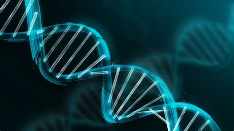 DNA Structure HD Wallpaper | Achtergrond | 1920x1080 | ID:482896 ...