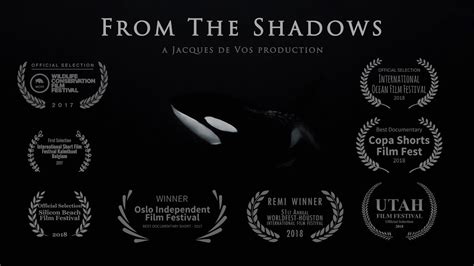 From The Shadows - Orca Documentary Trailer - YouTube