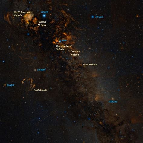 North America Nebula (NGC 7000) – Constellation Guide