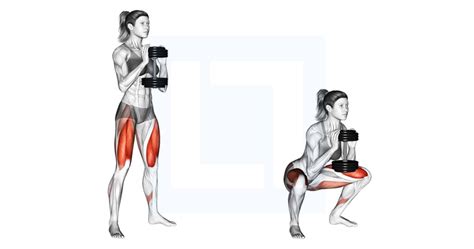 Dumbbell Goblet Squat - Guide, Benefits, and Form