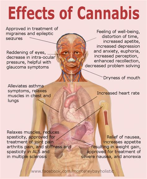 Effects of marijuana use: short term, long term and side effects