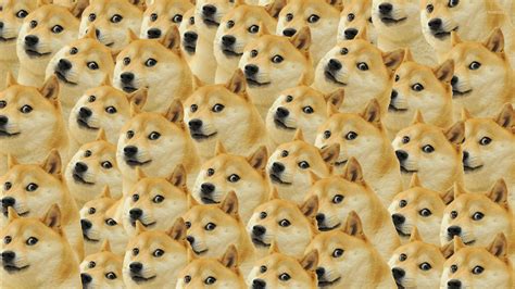 Doge Meme Wallpaper - WallpaperSafari