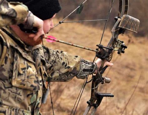 The Basics – Bow Hunting for Beginners » targetcrazy.com