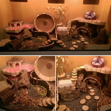 This is such a cute little forest themed small rodent cage idea ...