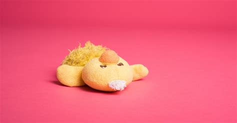 Yellow Duck Plush Toy · Free Stock Photo