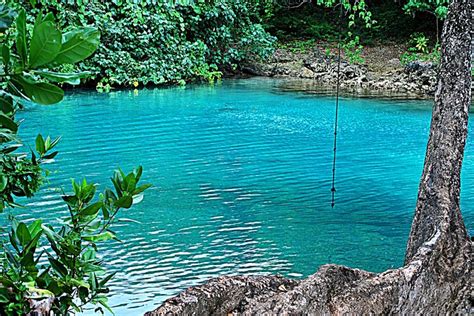 Full-Day Vanuatu Cultural, Blue Lagoon & Eden On The River Tour 2024 ...