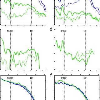 The third harmonics in the reticular lamina and basilar membrane ...