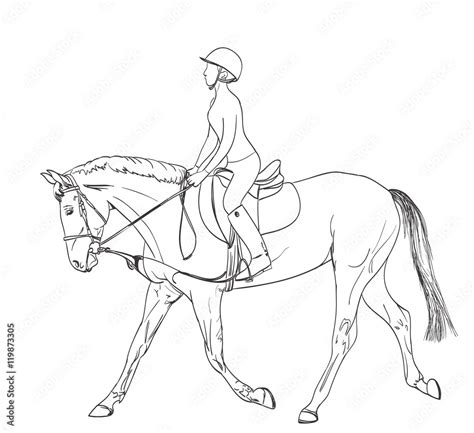 horse rider line art drawing. equestrian sport training theme ...