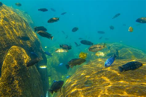 Lake Malawi National Park, South Malawi (with Map & Photos)