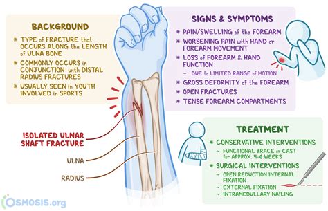 Describe the Initial and Follow Up Treatment of Fractures